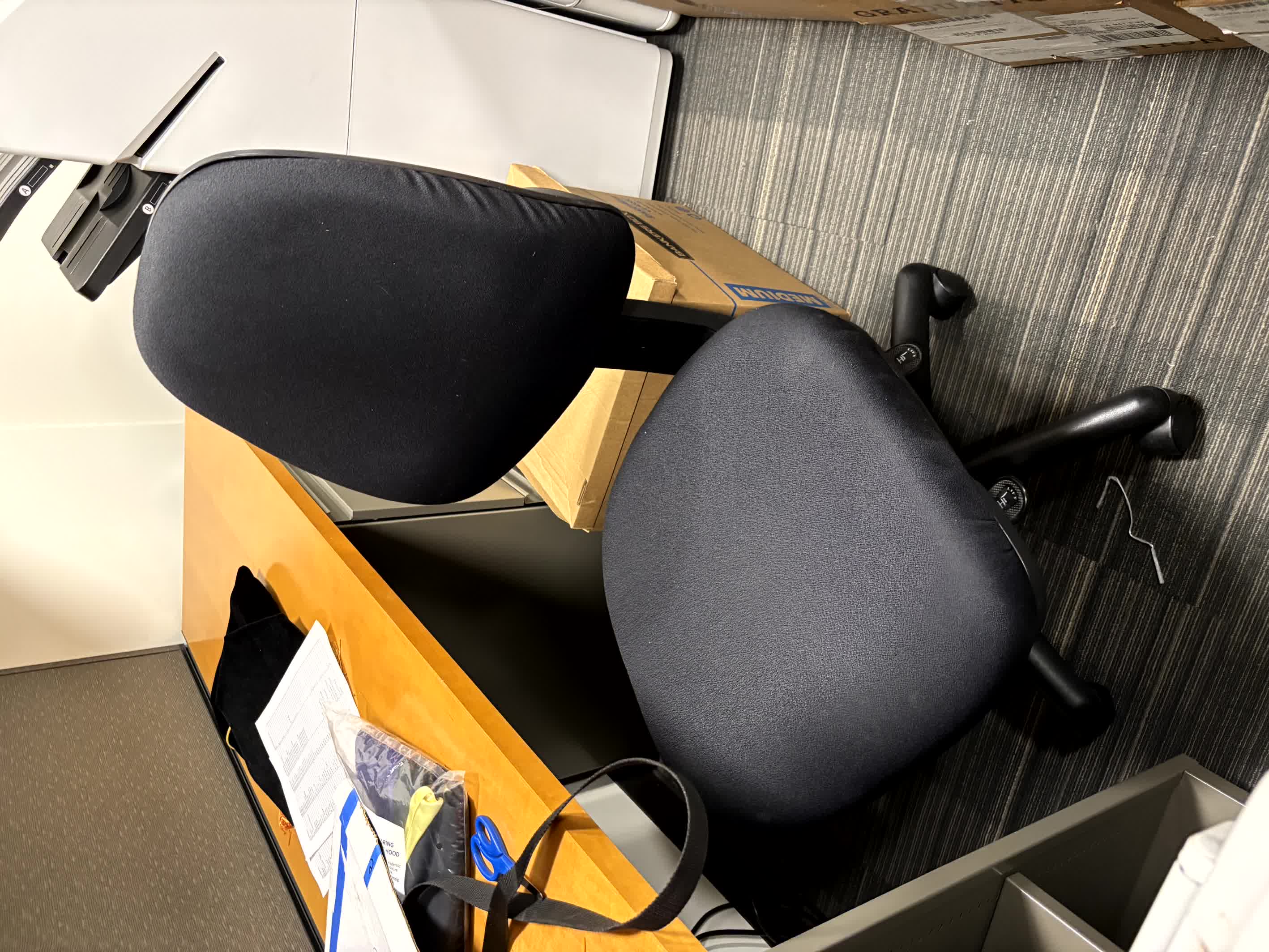 Ergo Chair