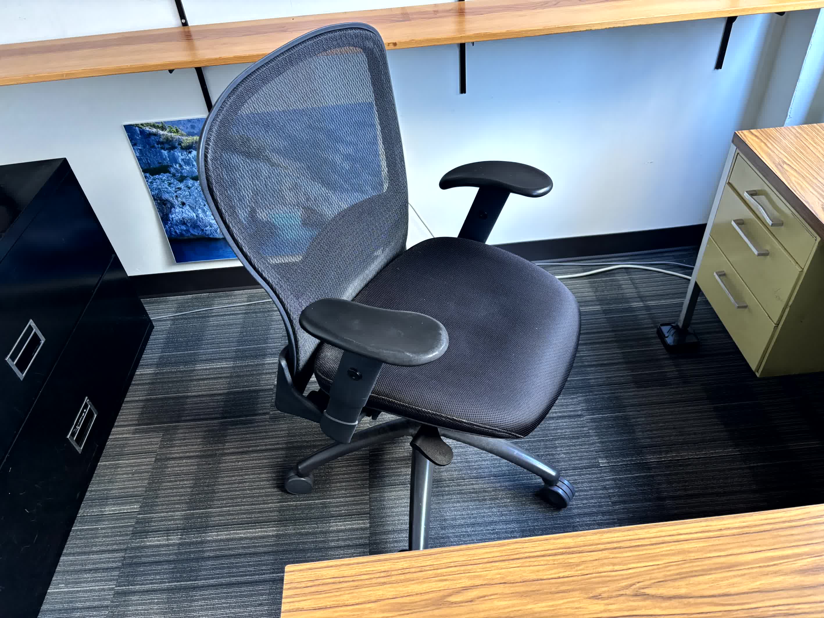 Ergo Mesh Chair