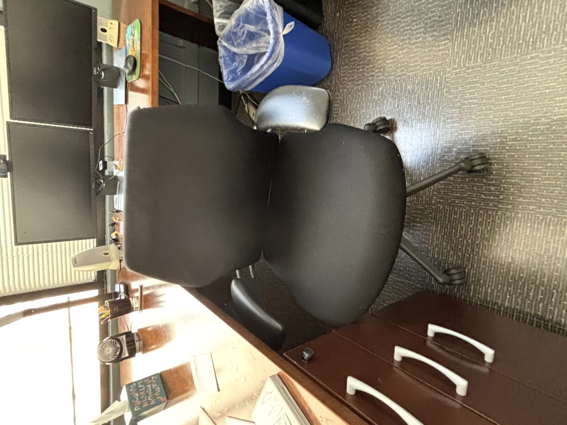 Ergo Chair (Arm)