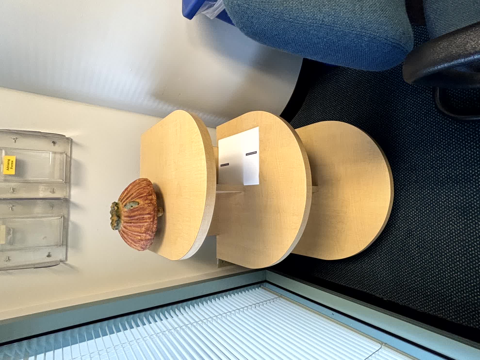 Shelf