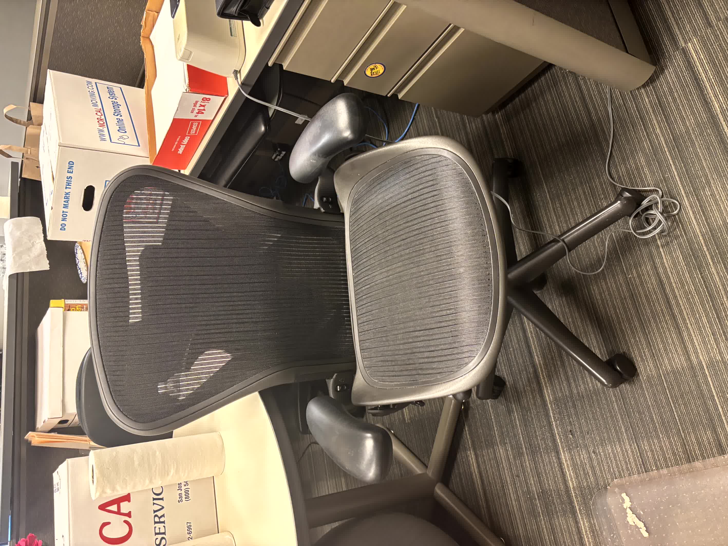 Office Chair/Mesh